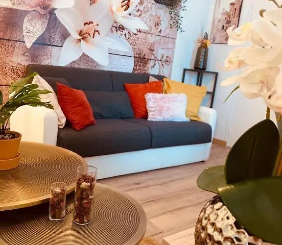 Le Spacieux Honfleur Plage 10Min Appartement *